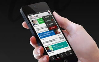 明星天价出场费与软件开发的跨界思考